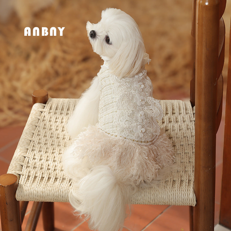 Autumn and Winter Princess Wind Warm Pet Clothes Dog Bear Teddy Small and Medium Dog Xiaoxiangfeng Skirt